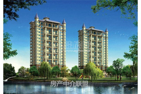 低首付好楼层！南客厅落地窗！佳乐家超市就近